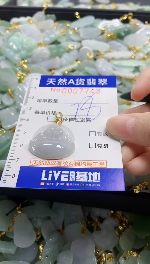 颈饰未镶嵌翡翠天然A货翡翠