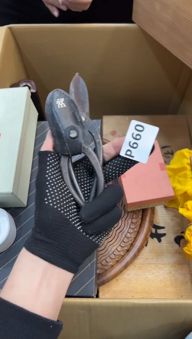 其他特*西660中古商品，谨慎参拍