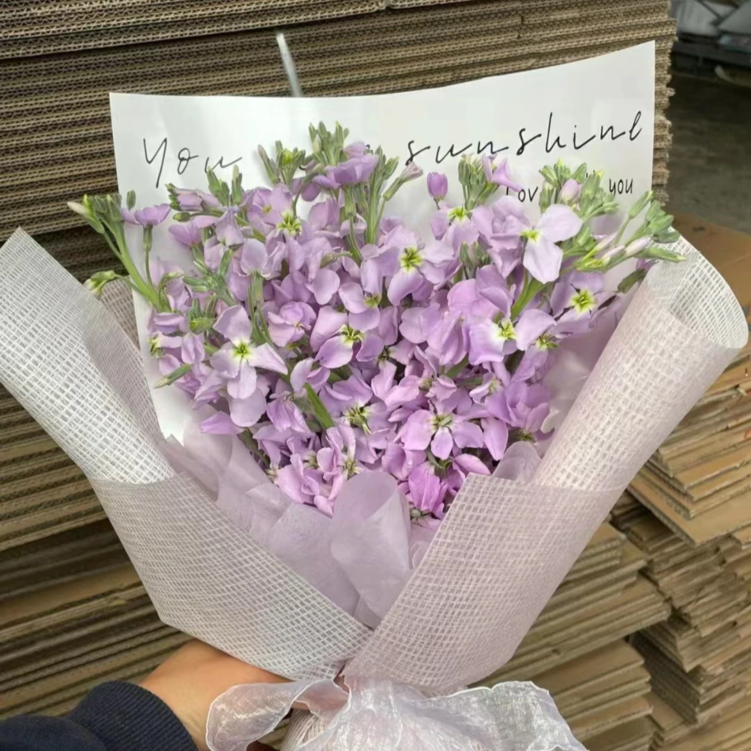 57吸色紫雾百合4支4朵+喷色蓝花花公子3支+紫色单瓣紫罗兰一把