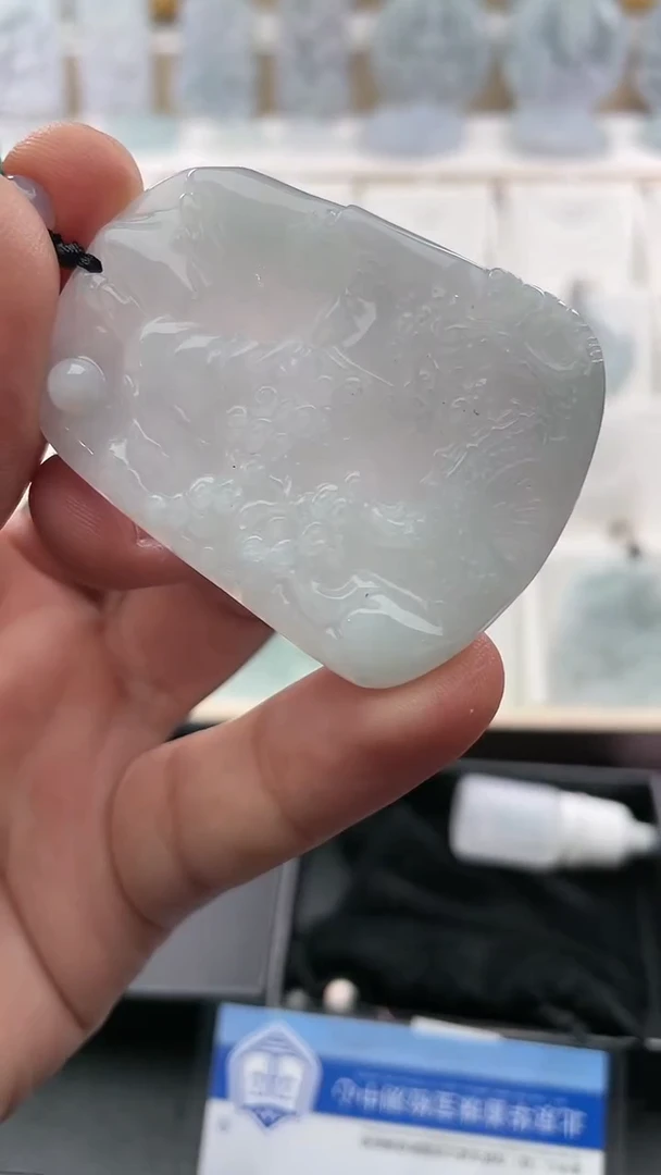 翡翠未镶嵌颈饰..../6/24/ 243