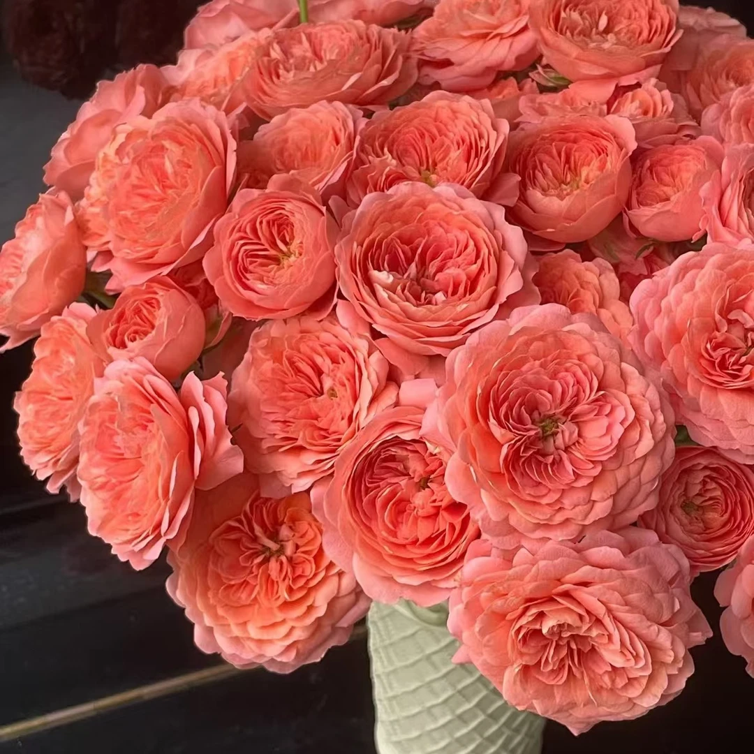 【杏色果汁】多头玫瑰云南基地直发-全场鲜花任意满2单升级顺丰包邮