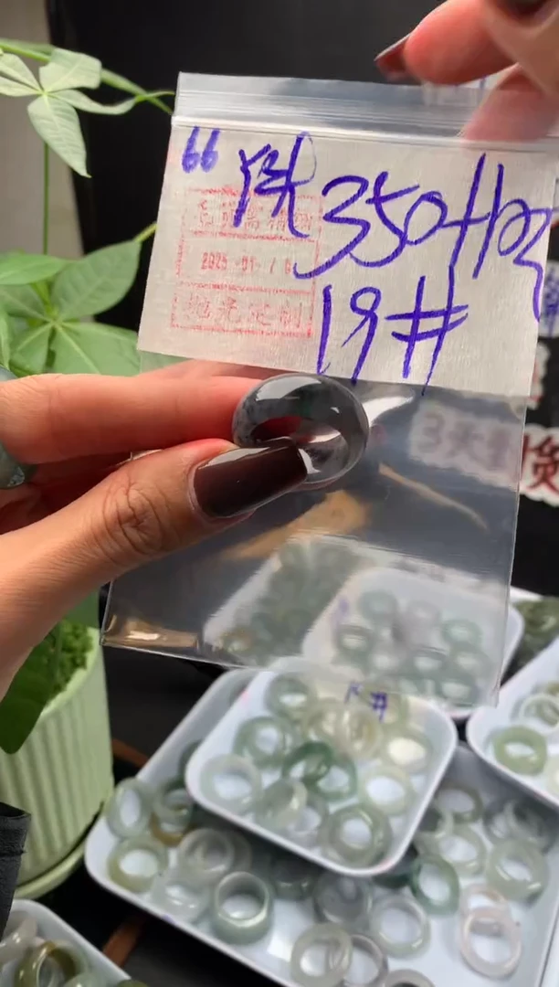 【闪购商品】定制翡翠未镶嵌66戒圈19*360元毛货需精抛光
