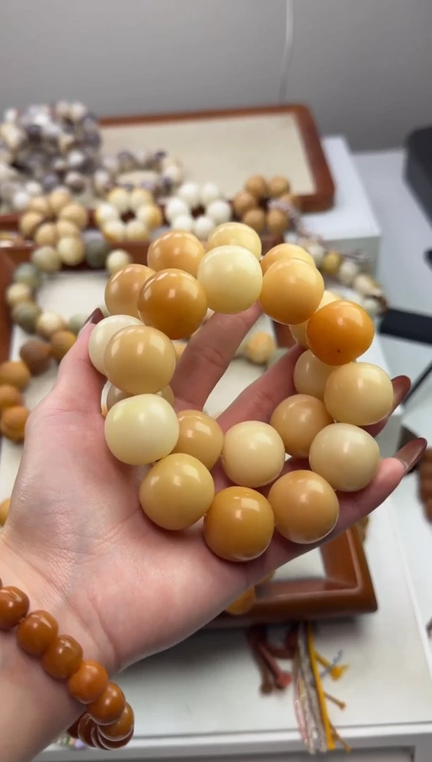 手串菩提根/象牙果y06干磨苹果落地果22*23mm手串瑕疵不补随机