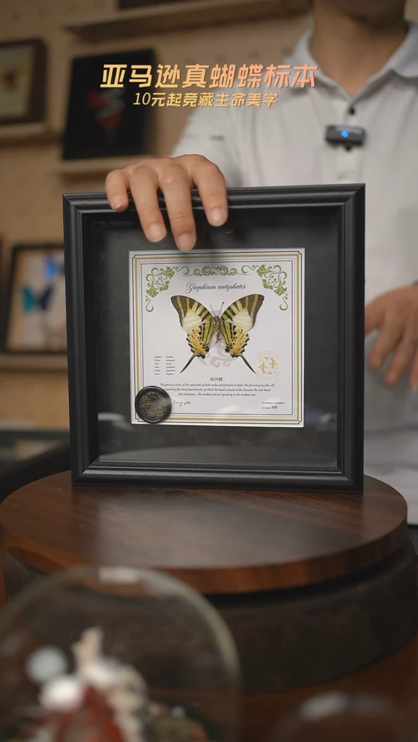 五指发财蝶双鱼款8寸欧式方框