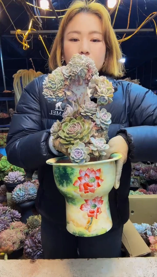 汉堡小树1号一物一拍