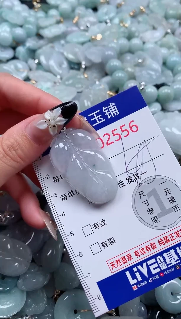 颈饰未镶嵌翡翠2556