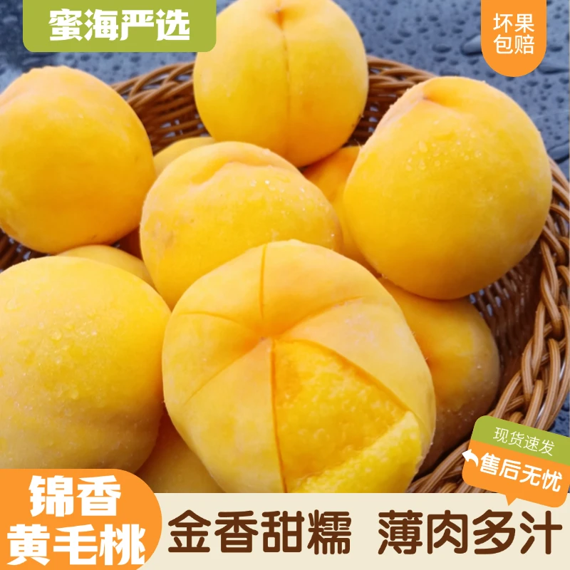 【蜜海严选】山东锦香黄毛桃3斤/4.5斤金香甜糯薄肉多汁新鲜水果