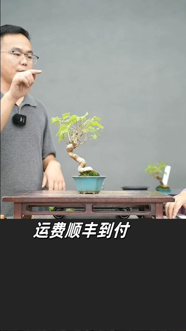 择***合93