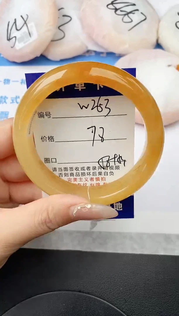 未镶嵌手镯石英质玉w263-HB