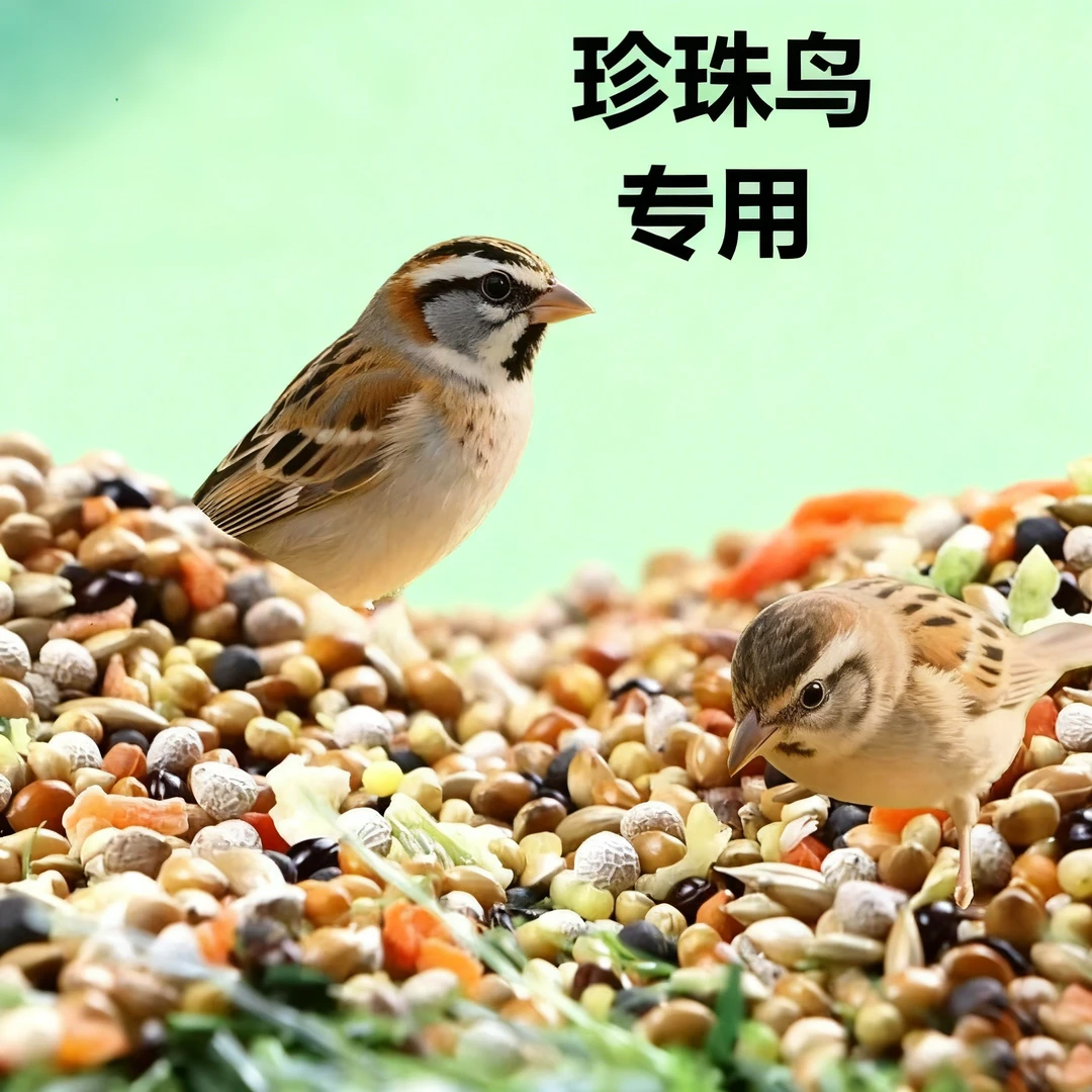 文鸟金丝雀玉鸟小型鹦鹉带壳坚果混合鸟食