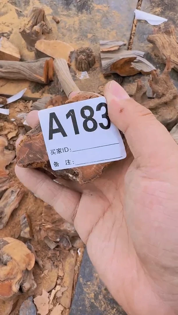 【闪购商品】柏木（崖柏）太行崖柏陈化料一片