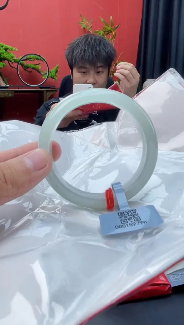 未镶嵌手镯翡翠4