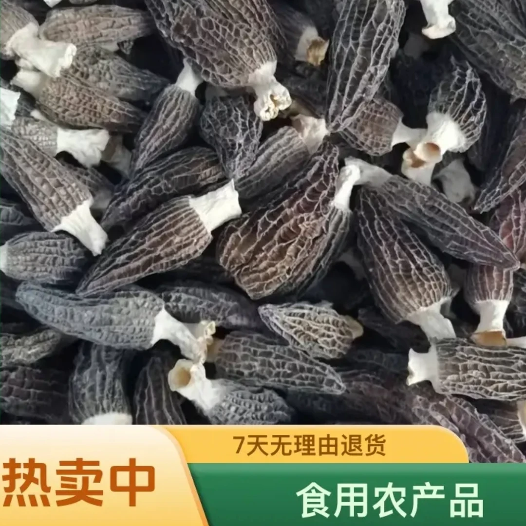 羊肚菌青川头茬肉厚羊肚菌露丝同款适合煲汤炒菜