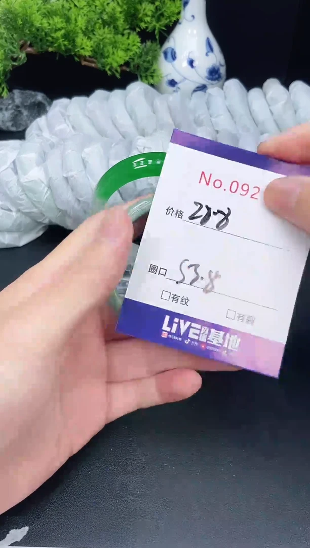 未镶嵌手镯翡翠9217