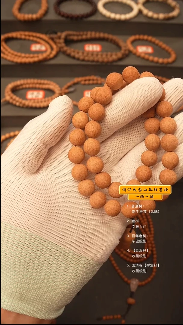 吊坠五线菩提y手持