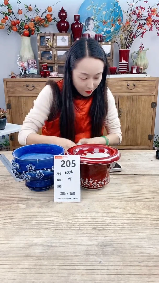 【闪购商品】红陶205