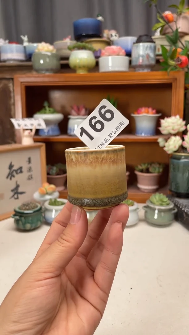 瓷片166知木小芳花盆编号