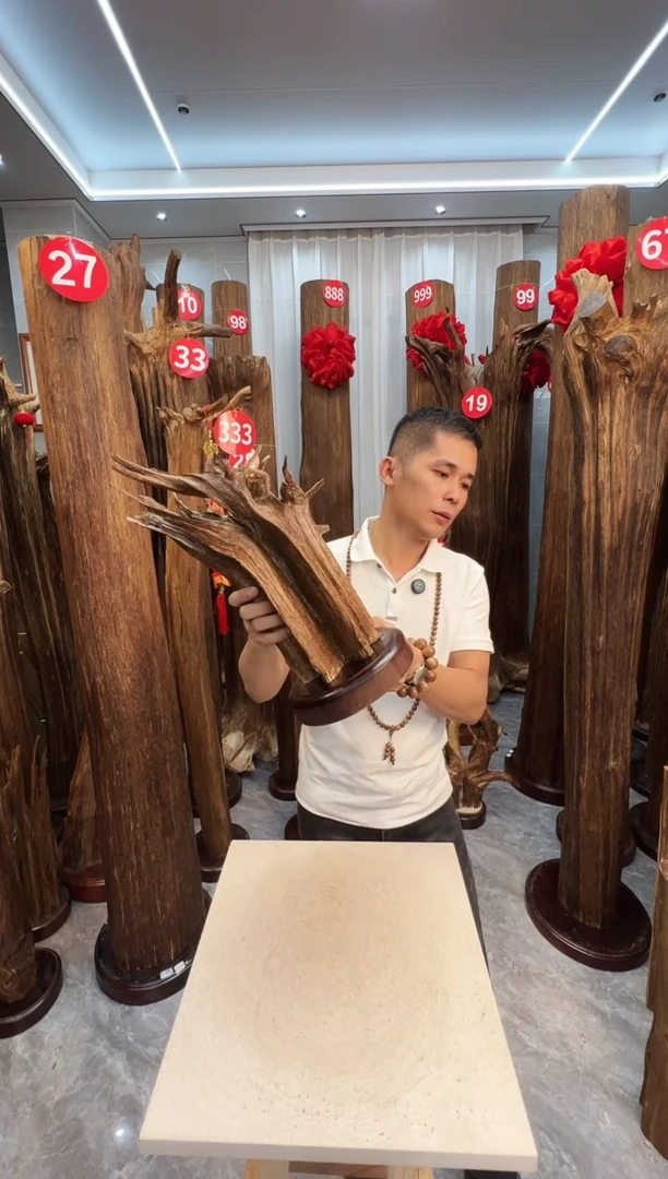 沉香摆件飞***子沉香原料