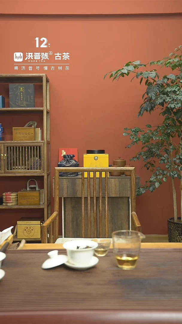 【闪购商品】21年头春瓦竜高杆单株生茶100g/饼