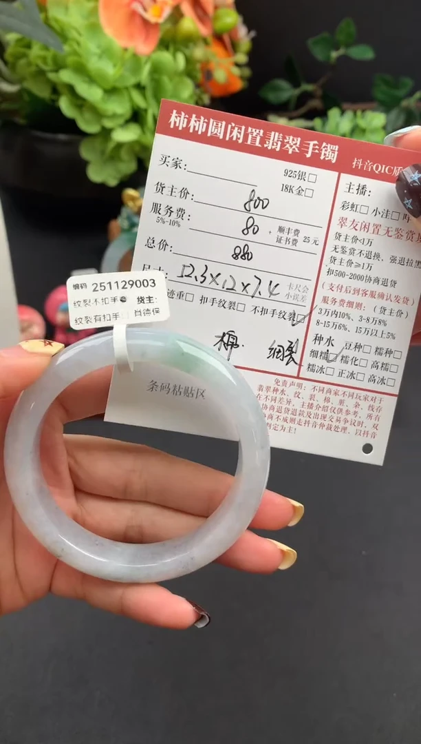未镶嵌手镯翡翠姐姐251129003