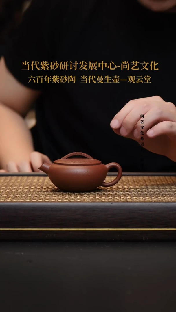 茶壶紫砂宜兴紫砂壶汉瓦