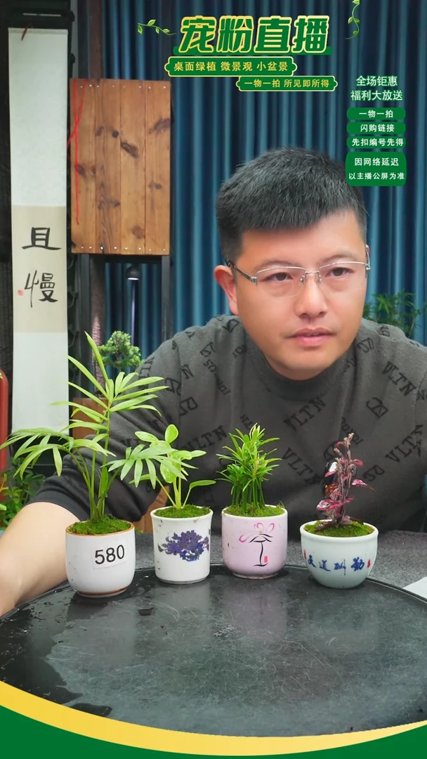 无花朵雨*苔藓微景观580号