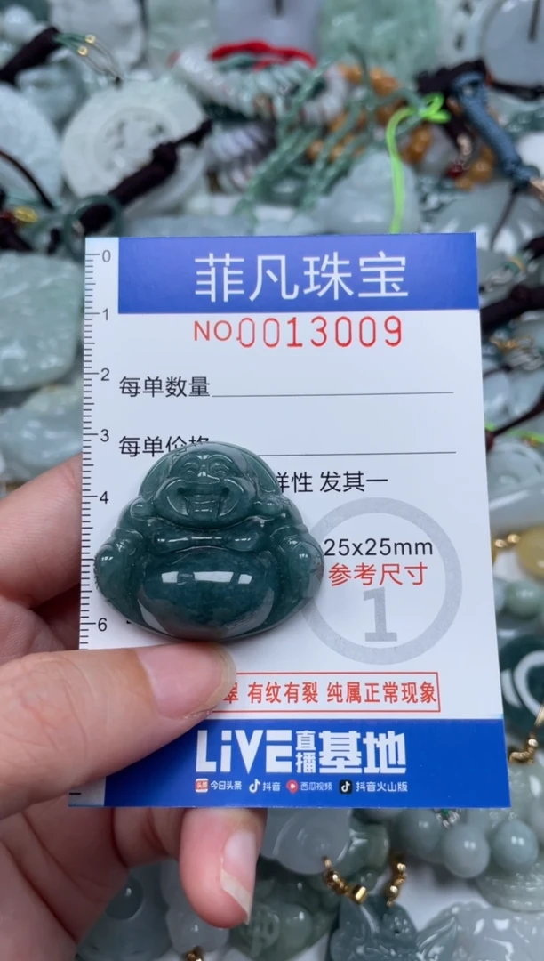 颈饰未镶嵌翡翠13009·