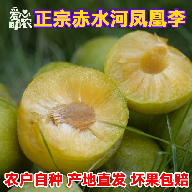 【助农】四川赤水河凤凰李江安李新鲜水果脱骨李子空心青脆李蜂糖李
