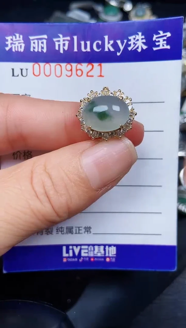 翡翠银S925镶嵌颈饰9621