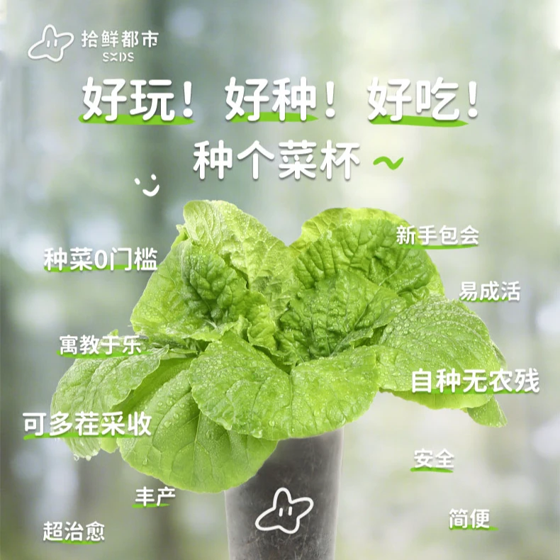 拾鲜都市 蔬菜种植杯 开盖浇水好种