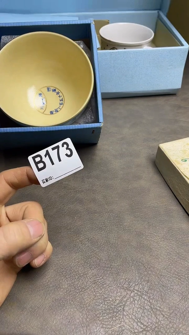 瓷片沧*默认微瑕，谨慎参拍B173