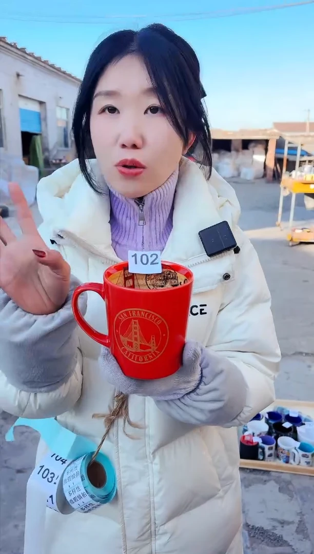 【闪购商品】炻瓷无盖款102