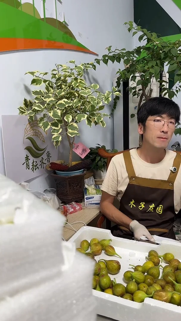 芭劳奈小果24枚小果