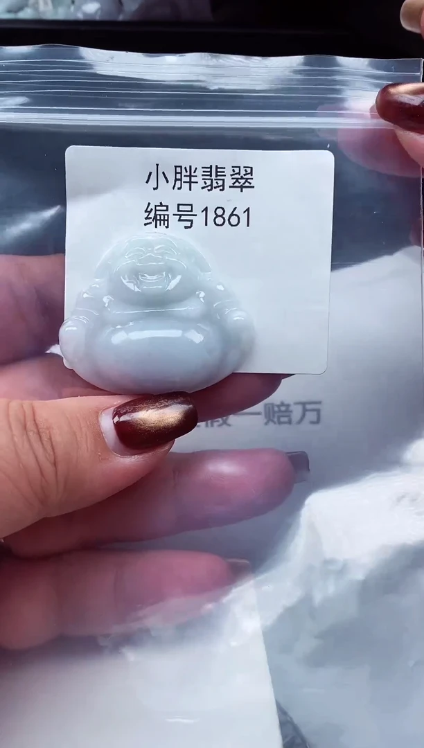 颈饰未镶嵌翡翠以****待缅甸天然A货翡翠1861