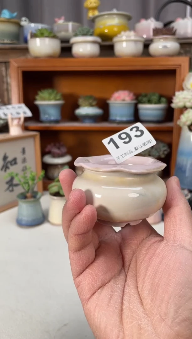 瓷片193小芳直播编号