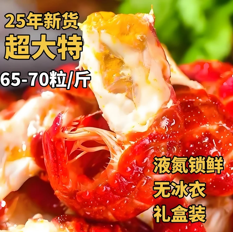 [25年新货]商用大大特号冷冻龙虾尾特大号70粒/斤净重10斤无冰