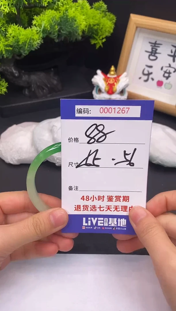 未镶嵌手镯翡翠0001267