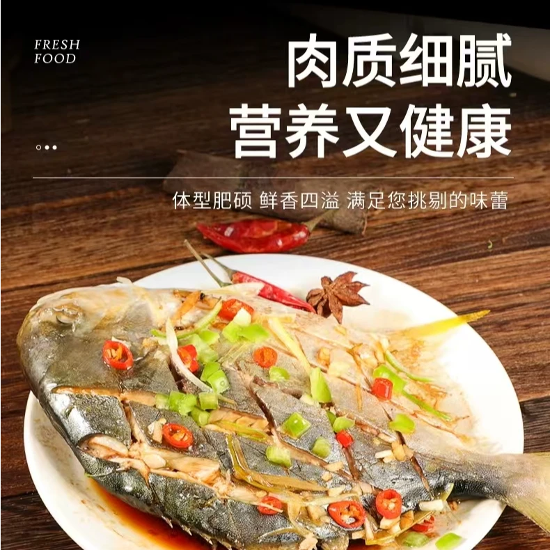 新疆包邮金鲳鱼3条 5条多规格 一条500g左右 过年必备