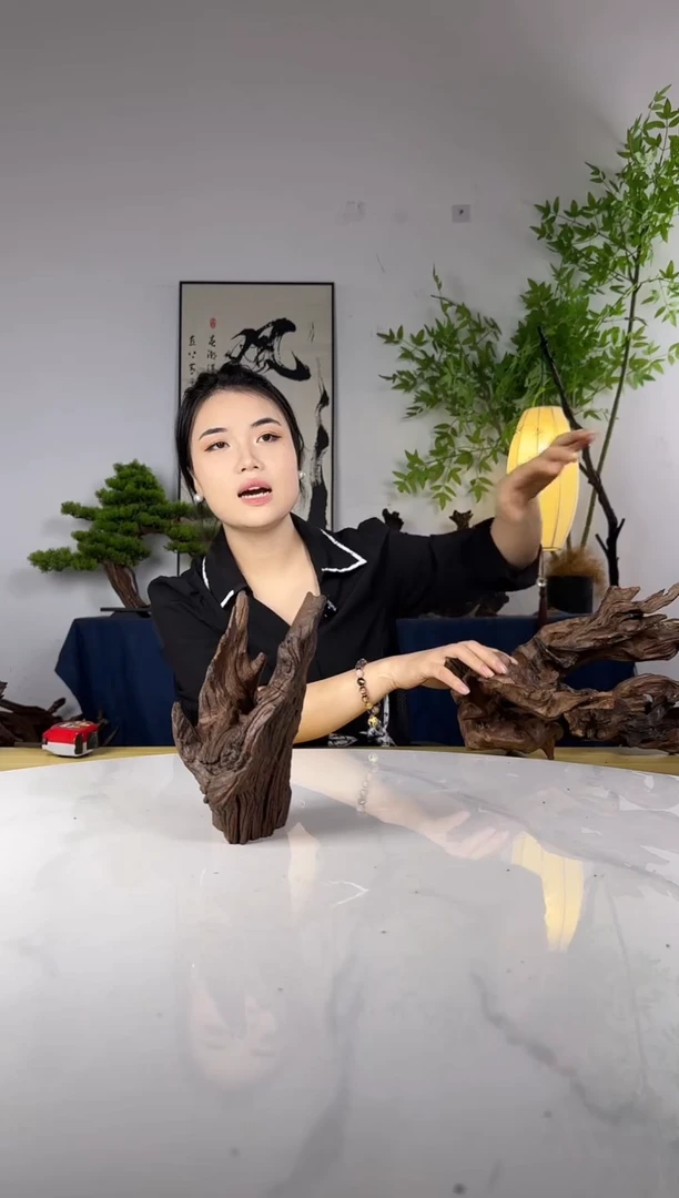 C*拍这个定向编号41