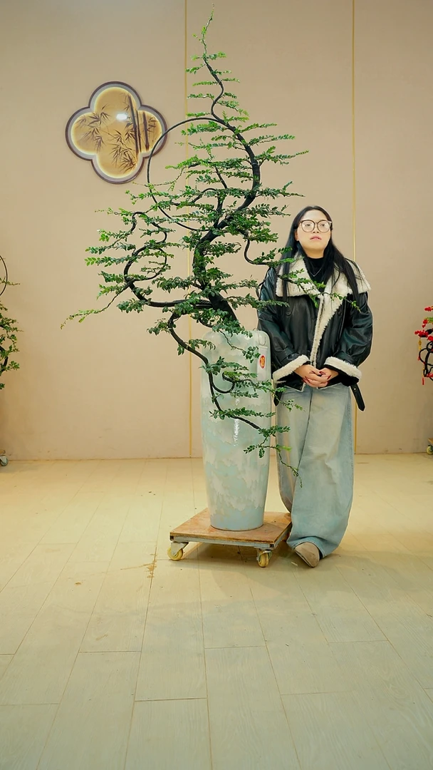 以实际为准?***?【广东小叶紫檀】落地高端盆景绿植四季常青常绿