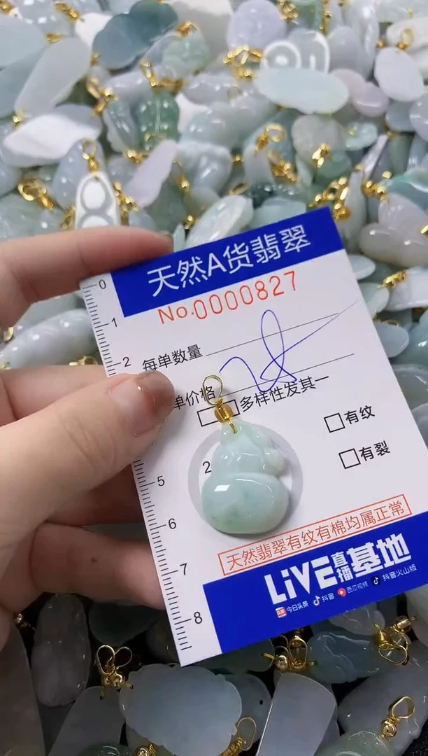 颈饰未镶嵌翡翠天然A货翡翠