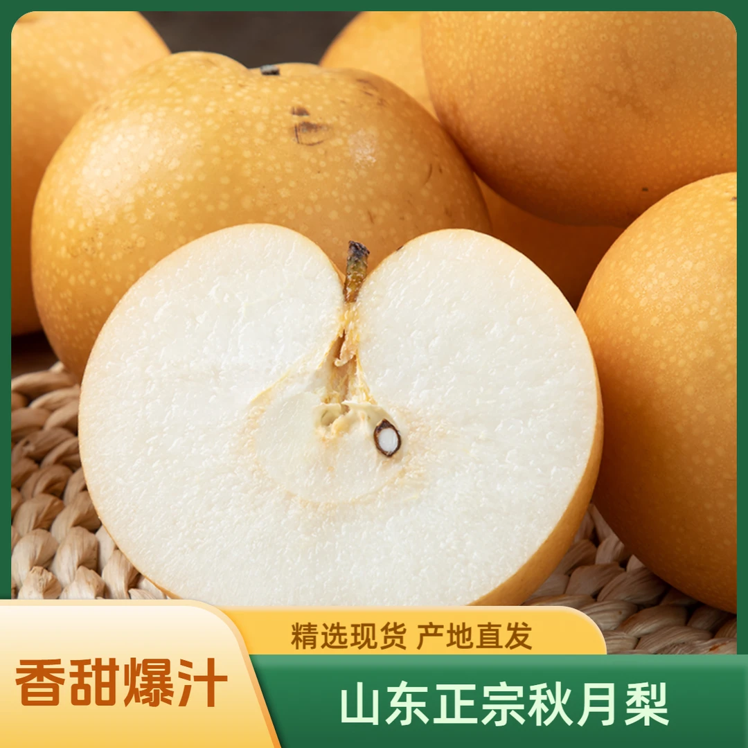 正宗山东秋月梨当季新鲜水果产地直发脆甜多汁皮薄肉厚