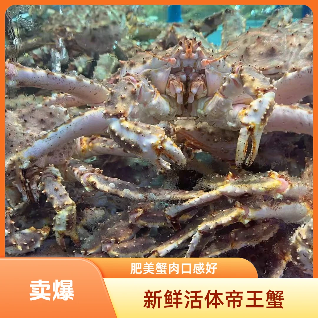 A北行寻海 鲜活帝王蟹 【保鲜不保活】同城顺丰跑腿 现称