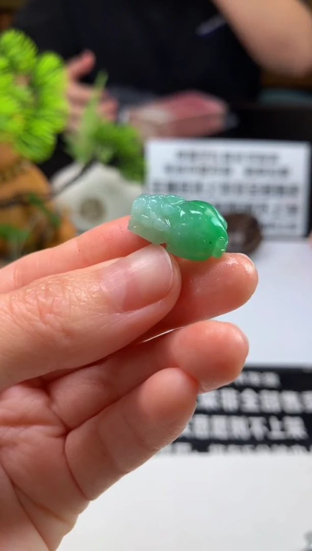 未镶嵌定制翡翠n****享---101074
