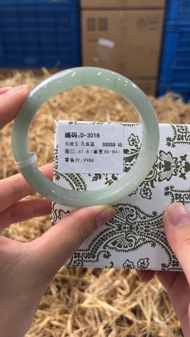 未镶嵌手镯石英质玉D-3018