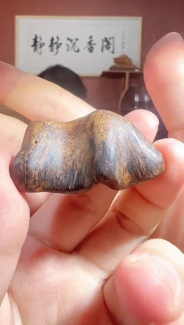 沉香吊坠27号芽庄9克多样性发一