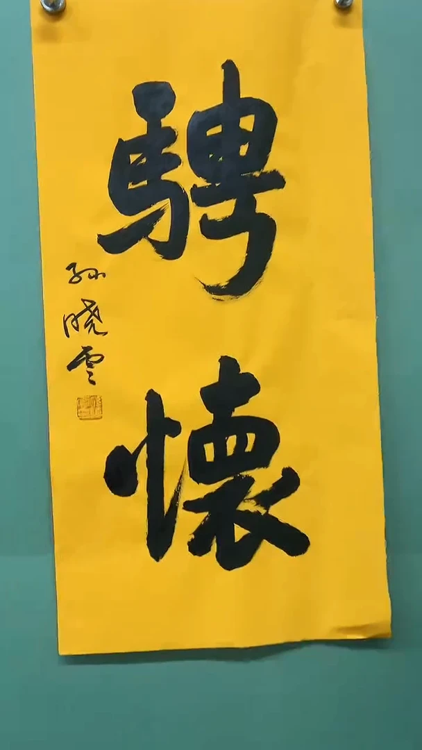 竖款精品书法，骋怀