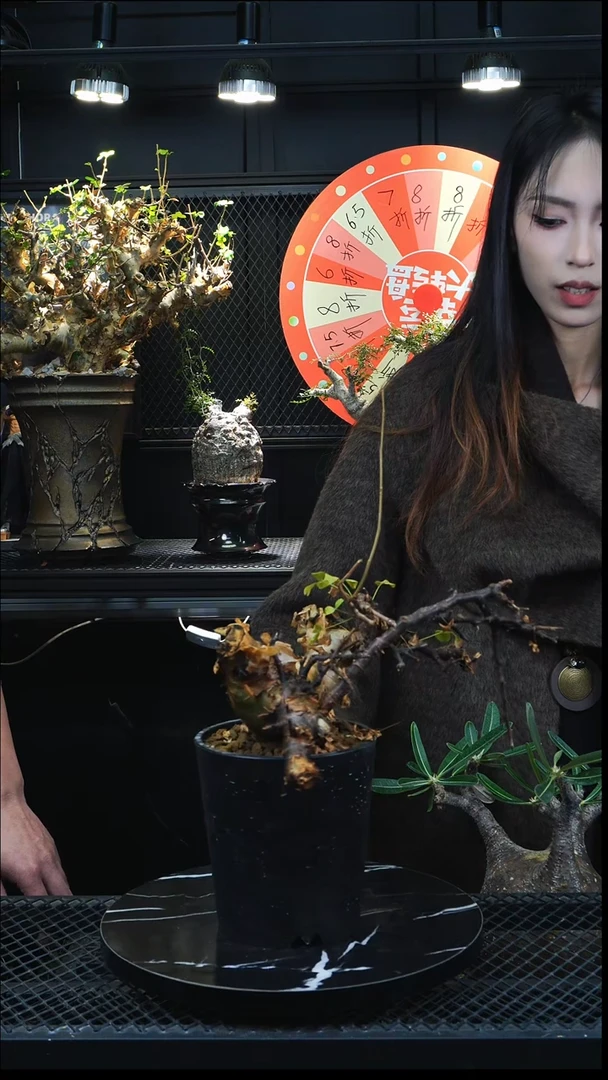 黑皮11111111111111