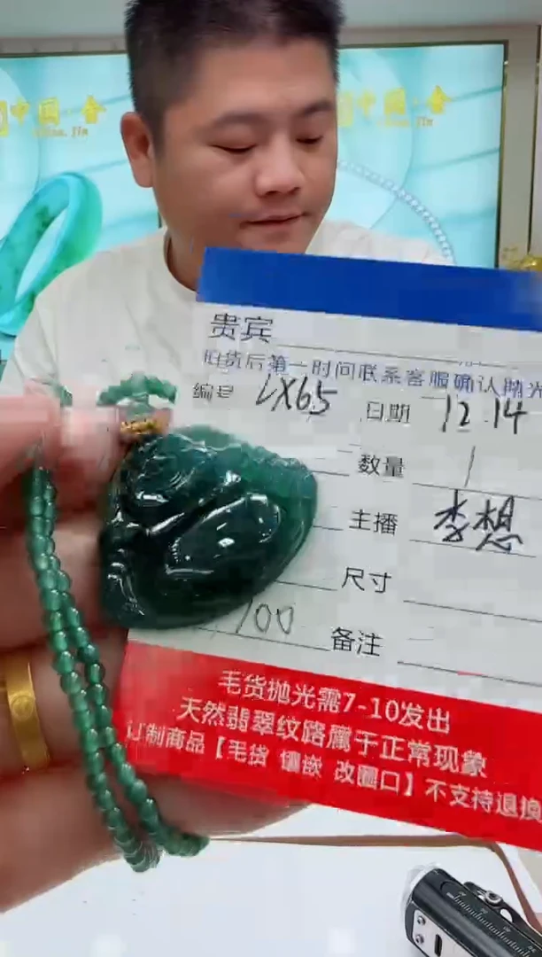 未镶嵌定制翡翠LX65翡翠吊坠赠珠链-多样性发其一