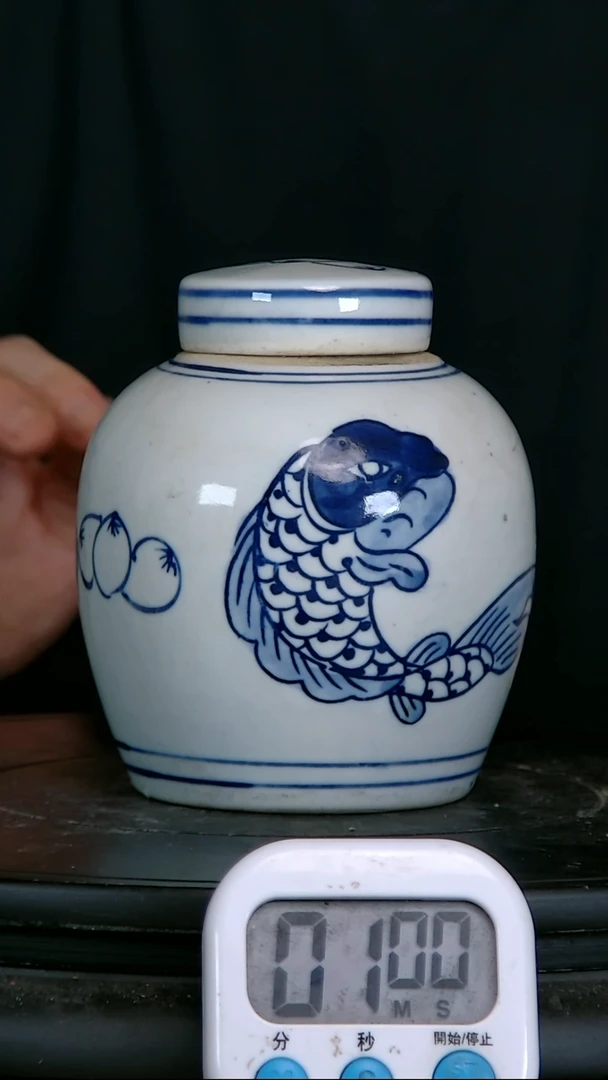 用****1青花精绘鱼图罐